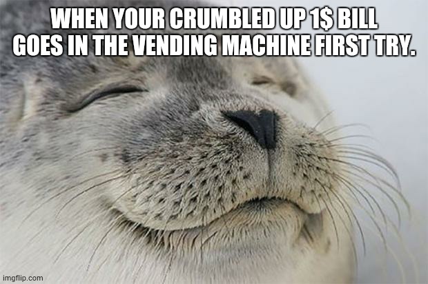 feels good | WHEN YOUR CRUMBLED UP 1$ BILL GOES IN THE VENDING MACHINE FIRST TRY. | image tagged in memes,satisfied seal | made w/ Imgflip meme maker
