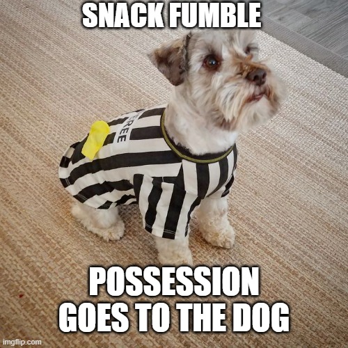 Football | SNACK FUMBLE; POSSESSION GOES TO THE DOG | image tagged in dogs,dog memes,funny dog memes,football | made w/ Imgflip meme maker