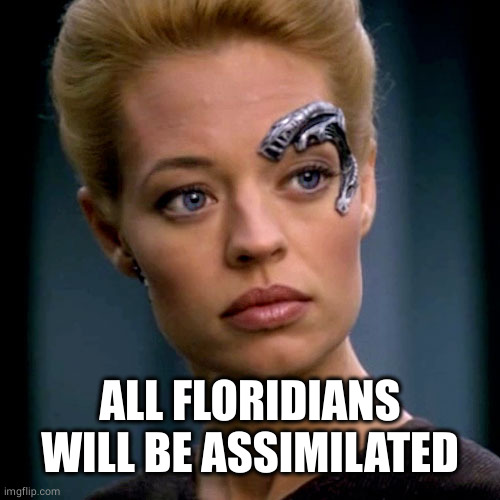 Seven of Nine Serious | ALL FLORIDIANS WILL BE ASSIMILATED | image tagged in seven of nine serious | made w/ Imgflip meme maker
