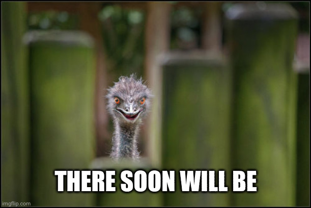 Soon Ostrich | THERE SOON WILL BE | image tagged in soon ostrich | made w/ Imgflip meme maker