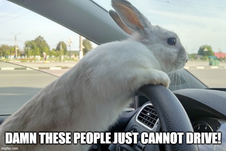 Drive | DAMN THESE PEOPLE JUST CANNOT DRIVE! | image tagged in bunnies | made w/ Imgflip meme maker