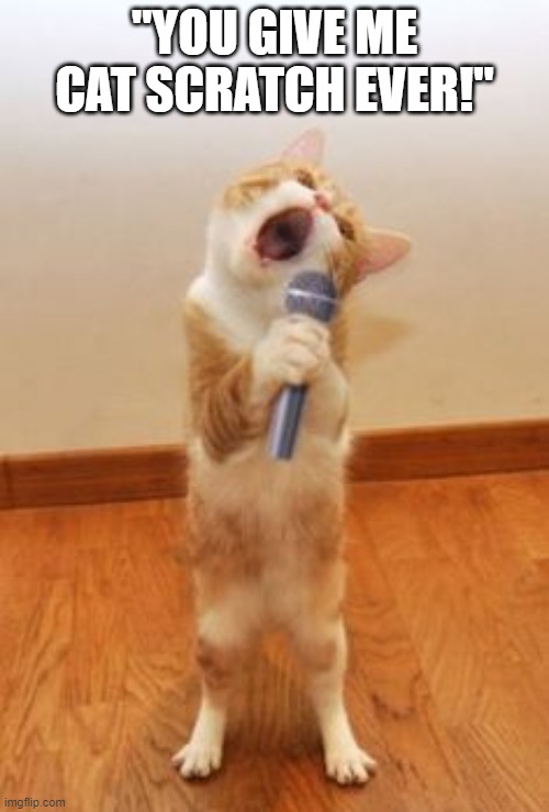 Karaoke Kitty | "YOU GIVE ME CAT SCRATCH EVER!" | image tagged in funny cat | made w/ Imgflip meme maker