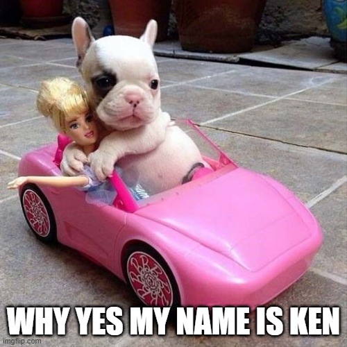 Barbie and Ken | WHY YES MY NAME IS KEN | image tagged in funny dog | made w/ Imgflip meme maker
