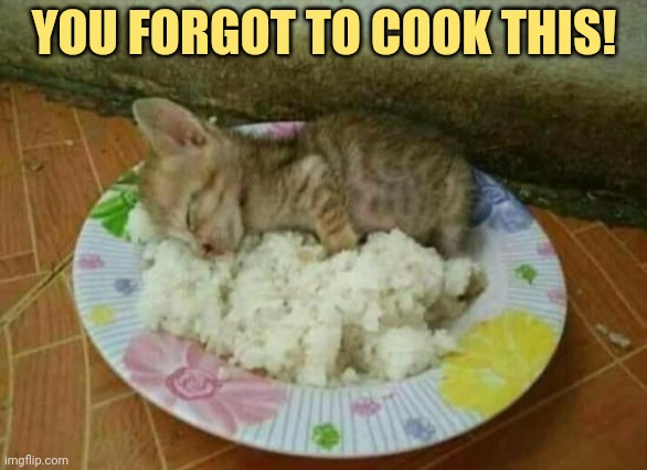 It's fuggin rawww! | YOU FORGOT TO COOK THIS! | image tagged in you,forgot,to cook,this | made w/ Imgflip meme maker