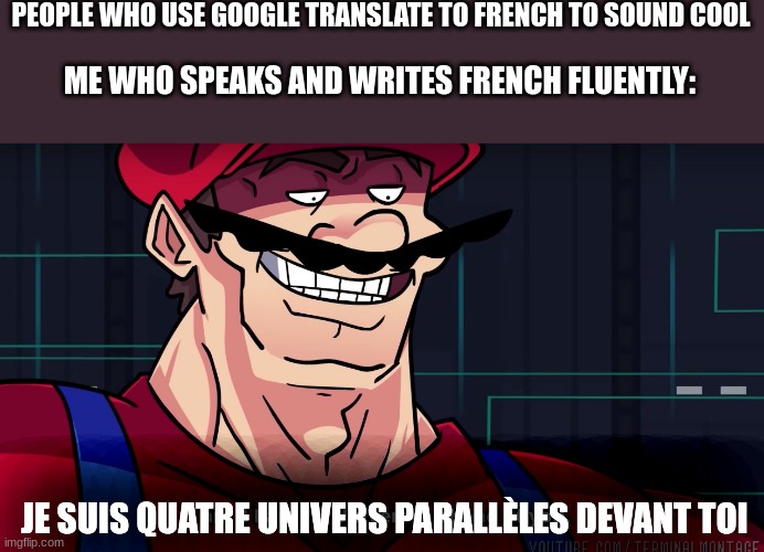 four universe | PEOPLE WHO USE GOOGLE TRANSLATE TO FRENCH TO SOUND COOL; ME WHO SPEAKS AND WRITES FRENCH FLUENTLY:; JE SUIS QUATRE UNIVERS PARALLÈLES DEVANT TOI | image tagged in mario i am four parallel universes ahead of you | made w/ Imgflip meme maker