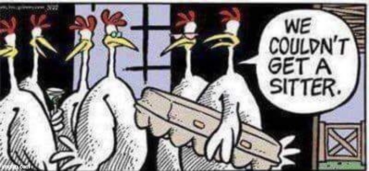 Chicken Sitter | image tagged in comics | made w/ Imgflip meme maker