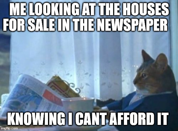 one day | ME LOOKING AT THE HOUSES FOR SALE IN THE NEWSPAPER; KNOWING I CANT AFFORD IT | image tagged in memes,i should buy a boat cat,funny | made w/ Imgflip meme maker
