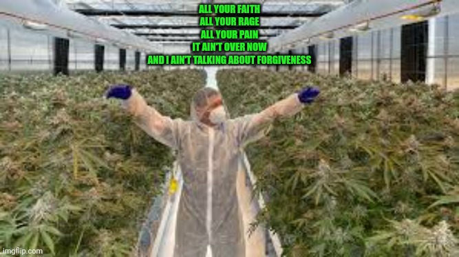 Greenhouse | ALL YOUR FAITH
ALL YOUR RAGE
ALL YOUR PAIN
IT AIN'T OVER NOW
AND I AIN'T TALKING ABOUT FORGIVENESS | image tagged in ghost,greenhouse,weed,smoke weed everyday | made w/ Imgflip meme maker