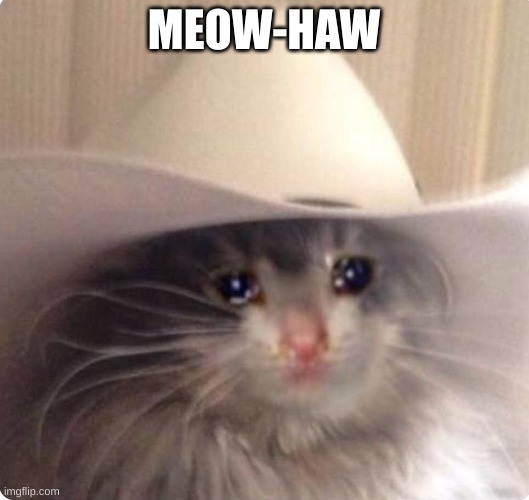 Sad cowboy cat | MEOW-HAW | image tagged in sad cowboy cat | made w/ Imgflip meme maker