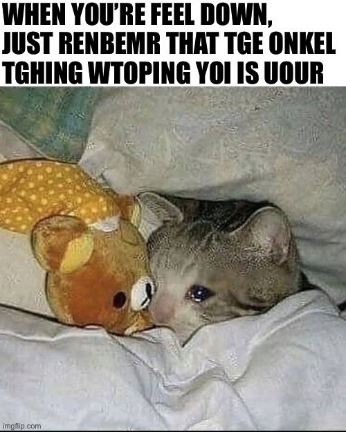 Words I live by | WHEN YOU’RE FEEL DOWN, JUST RENBEMR THAT TGE ONKEL TGHING WTOPING YOI IS UOUR | image tagged in cat,sad cat | made w/ Imgflip meme maker