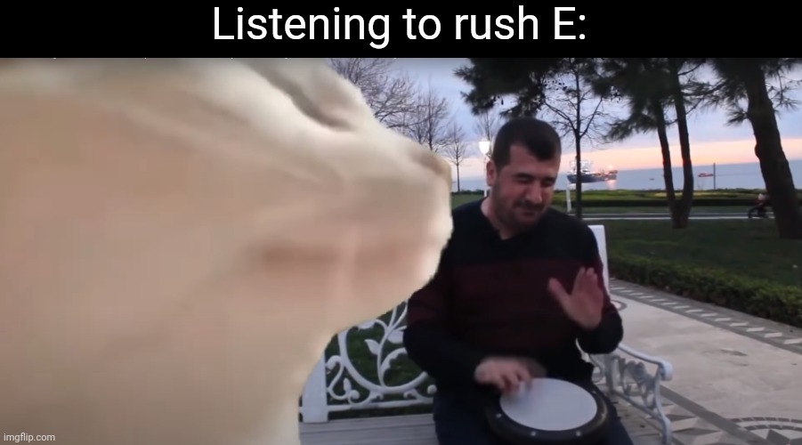 Makes me vibe | Listening to rush E: | image tagged in cat vibing to ievan polkka cat meme vibing music,memes | made w/ Imgflip meme maker
