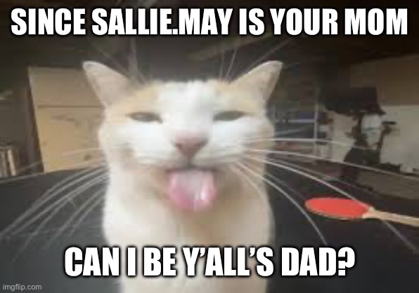 Cat | SINCE SALLIE.MAY IS YOUR MOM; CAN I BE Y’ALL’S DAD? | image tagged in cat | made w/ Imgflip meme maker