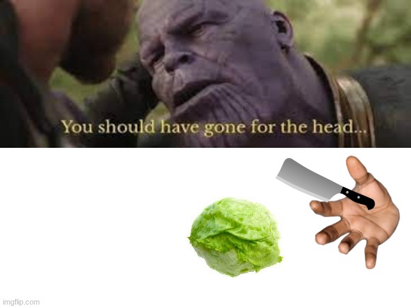 Thanos Should've said that better | image tagged in meme | made w/ Imgflip meme maker