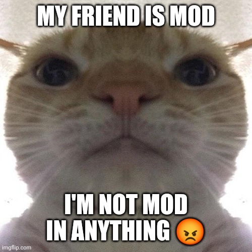 Staring Cat/Gusic | MY FRIEND IS MOD; I'M NOT MOD IN ANYTHING 😡 | image tagged in staring cat/gusic | made w/ Imgflip meme maker