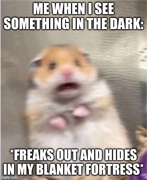 Hampter | ME WHEN I SEE SOMETHING IN THE DARK:; *FREAKS OUT AND HIDES IN MY BLANKET FORTRESS* | image tagged in scared hamster | made w/ Imgflip meme maker