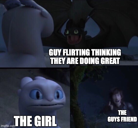 How to train your dragon 3 | GUY FLIRTING THINKING THEY ARE DOING GREAT; THE GUYS FRIEND; THE GIRL | image tagged in how to train your dragon 3 | made w/ Imgflip meme maker