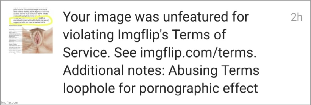 take your garbage moderations and gtfo you fucking human garbage | image tagged in mod abuse | made w/ Imgflip meme maker