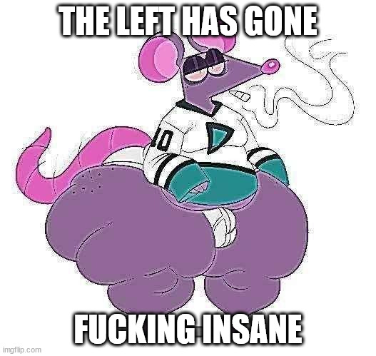 the left has gone insane | THE LEFT HAS GONE; FUCKING INSANE | image tagged in funny memes,funny meme,stoner rat,rat,dank memes,irony | made w/ Imgflip meme maker