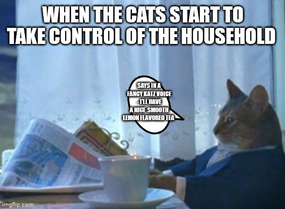 As he says in the Katz from courage the cowardly dog voice | WHEN THE CATS START TO TAKE CONTROL OF THE HOUSEHOLD; SAYS IN A FANCY KATZ VOICE - I'LL HAVE A NICE  SMOOTH LEMON FLAVORED TEA | image tagged in memes,i should buy a boat cat,that red cat impression,courage the cowardly dog,funny memes,as he says in katz voice | made w/ Imgflip meme maker