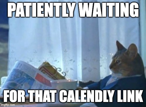 I Should Buy A Boat Cat | PATIENTLY WAITING; FOR THAT CALENDLY LINK | image tagged in memes,i should buy a boat cat | made w/ Imgflip meme maker