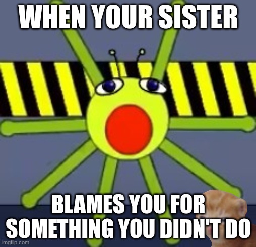 suprised Gerbo :O | WHEN YOUR SISTER; BLAMES YOU FOR SOMETHING YOU DIDN'T DO | image tagged in bugs,spider | made w/ Imgflip meme maker