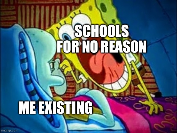 spongebob yelling | SCHOOLS FOR NO REASON; ME EXISTING | image tagged in spongebob yelling,AntiSchooling | made w/ Imgflip meme maker