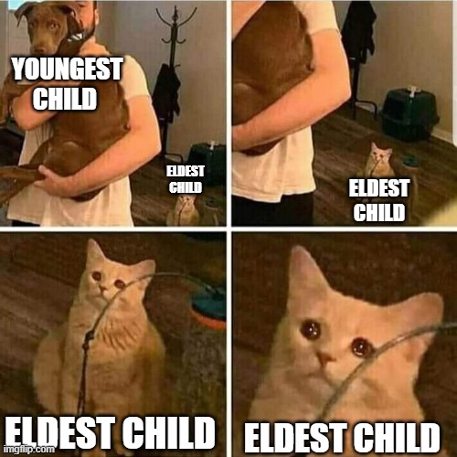 Sad Cat Holding Dog | YOUNGEST CHILD; ELDEST CHILD; ELDEST CHILD; ELDEST CHILD; ELDEST CHILD | image tagged in sad cat holding dog | made w/ Imgflip meme maker