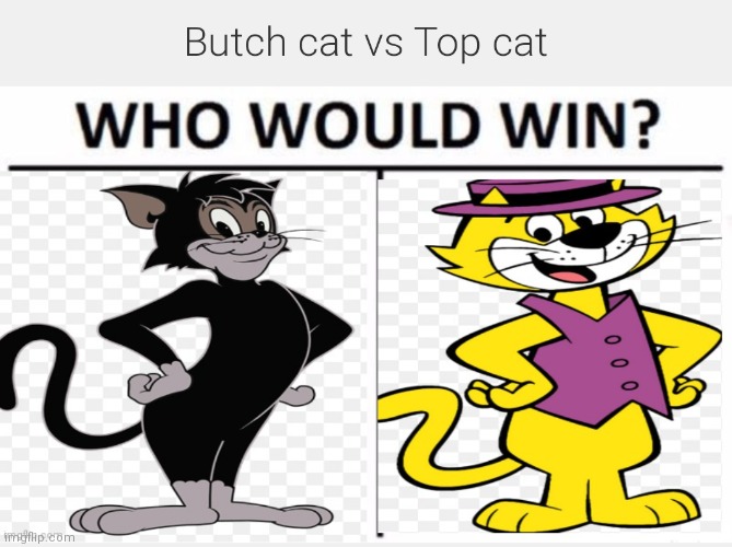 Butch cat vs Top cat | image tagged in butch cat vs top cat,cartoon beatbox battle suggestions,cartoon battles,regular fight battles | made w/ Imgflip meme maker