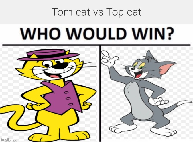 Top cat vs Tom cat | image tagged in top cat vs tom cat,cartoon beatbox battle suggestions,cartoon battles,regular fight battles | made w/ Imgflip meme maker