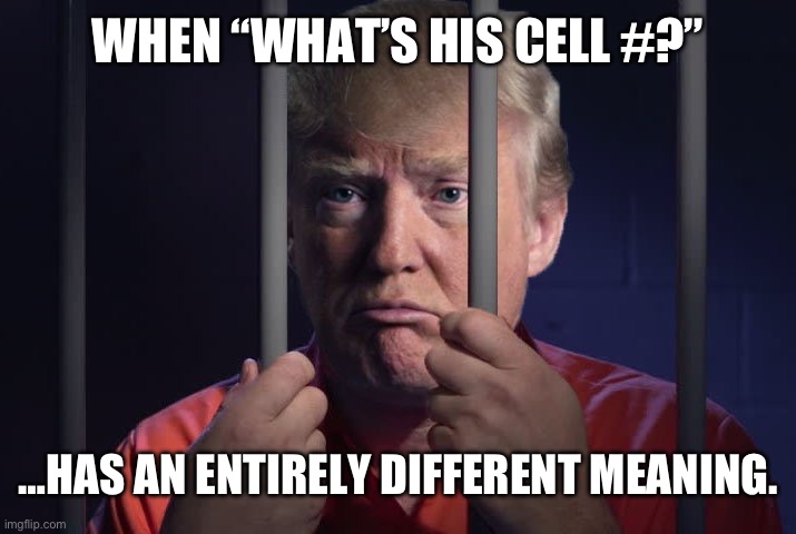 Trump cell | WHEN “WHAT’S HIS CELL #?”; …HAS AN ENTIRELY DIFFERENT MEANING. | image tagged in trump in jail | made w/ Imgflip meme maker