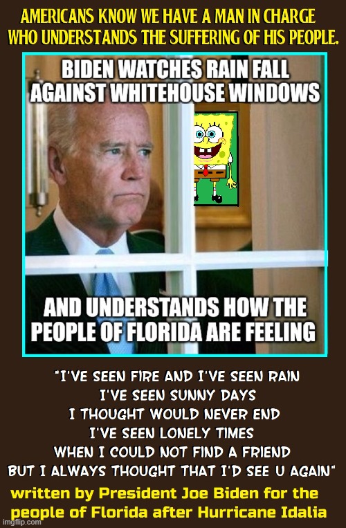 "I Feel Your Pain" was inspired by Frank Vitale | image tagged in vince vance,fjb,memes,joe biden,james taylor,plagiarism | made w/ Imgflip meme maker