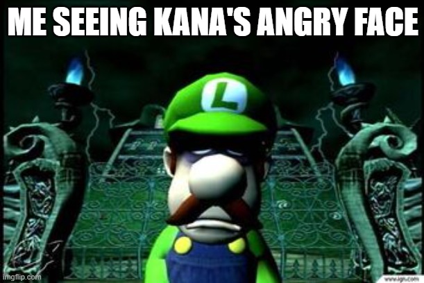 Depressed Luigi | ME SEEING KANA'S ANGRY FACE | image tagged in depressed luigi | made w/ Imgflip meme maker
