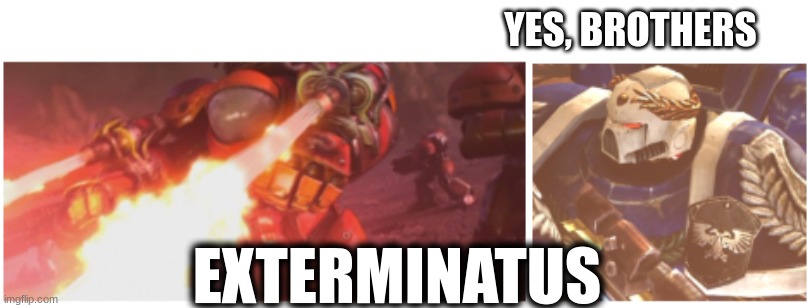 Brothers in purging | YES, BROTHERS; EXTERMINATUS | image tagged in warhammer40k,starcraft | made w/ Imgflip meme maker