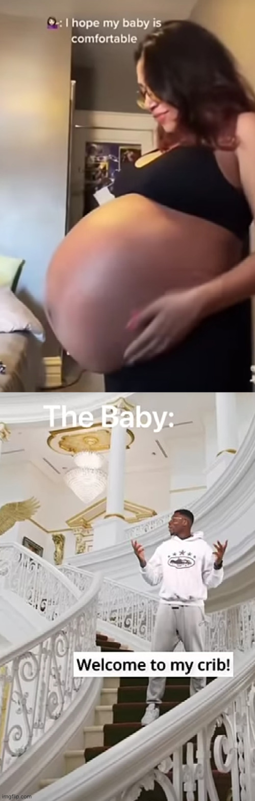 that baby has got a whole country to himself | image tagged in pregnant,baby,mansion,pregnant woman,funny,house | made w/ Imgflip meme maker