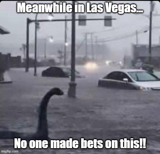 Las Vegas Loch Ness | Meanwhile in Las Vegas... No one made bets on this!! | image tagged in flood loch ness,las vegas flood | made w/ Imgflip meme maker