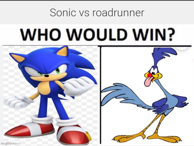 Sonic vs roadrunner | image tagged in cartoon beatbox battle suggestions,cartoon battles,regular fight battles,sonic vs roadrunner | made w/ Imgflip meme maker