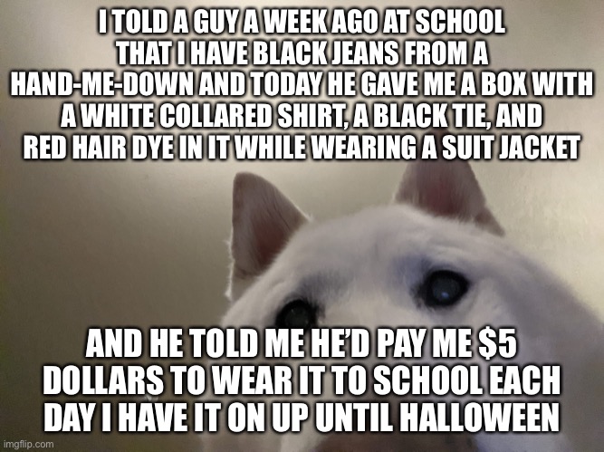 I think this is supposed to be a chainsaw man hint… I’m afraid I’ll get too much attention at school | I TOLD A GUY A WEEK AGO AT SCHOOL THAT I HAVE BLACK JEANS FROM A HAND-ME-DOWN AND TODAY HE GAVE ME A BOX WITH A WHITE COLLARED SHIRT, A BLACK TIE, AND RED HAIR DYE IN IT WHILE WEARING A SUIT JACKET; AND HE TOLD ME HE’D PAY ME $5 DOLLARS TO WEAR IT TO SCHOOL EACH DAY I HAVE IT ON UP UNTIL HALLOWEEN | image tagged in shiba dog selfie | made w/ Imgflip meme maker