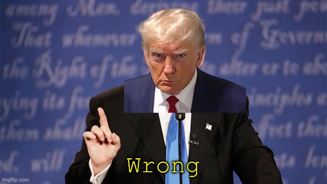 Donald Trump Wrong | Wrong | image tagged in donald trump wrong | made w/ Imgflip meme maker