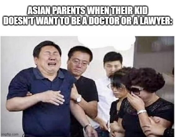 asian parents crying | ASIAN PARENTS WHEN THEIR KID DOESN'T WANT TO BE A DOCTOR OR A LAWYER: | image tagged in asian parents crying,memes | made w/ Imgflip meme maker