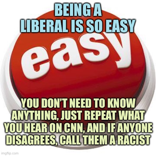 That was easy | BEING A LIBERAL IS SO EASY; YOU DON’T NEED TO KNOW ANYTHING, JUST REPEAT WHAT YOU HEAR ON CNN, AND IF ANYONE DISAGREES, CALL THEM A RACIST | image tagged in that was easy | made w/ Imgflip meme maker