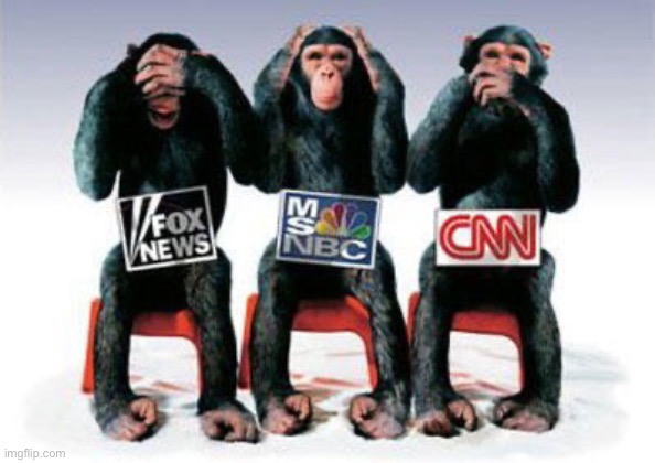 MSM Monkeys see, speak, hear no evil | image tagged in msm monkeys see speak hear no evil | made w/ Imgflip meme maker