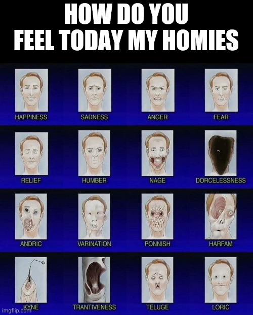 What Are You Feeling Today | HOW DO YOU FEEL TODAY MY HOMIES | image tagged in what are you feeling today | made w/ Imgflip meme maker