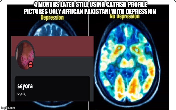 Seyora Pakistani African has depression 4 months later | 4 MONTHS LATER STILL USING CATFISH PROFILE PICTURES UGLY AFRICAN PAKISTANI WITH DEPRESSION | image tagged in depression,depressed,suicide,african,nigga,black | made w/ Imgflip meme maker