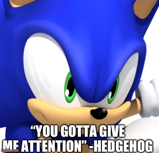 GOTTA  GO FAST | “YOU GOTTA GIVE ME ATTENTION” -HEDGEHOG | image tagged in gotta go fast | made w/ Imgflip meme maker