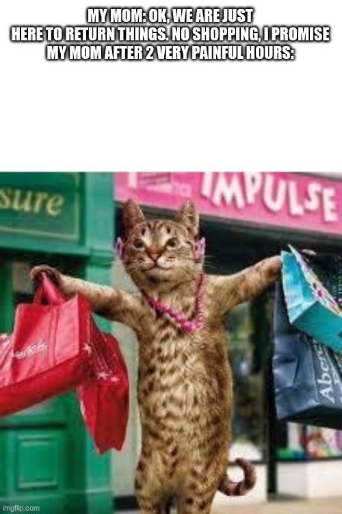 Cat shopping | MY MOM: OK, WE ARE JUST HERE TO RETURN THINGS. NO SHOPPING, I PROMISE
MY MOM AFTER 2 VERY PAINFUL HOURS: | image tagged in cat shopping | made w/ Imgflip meme maker