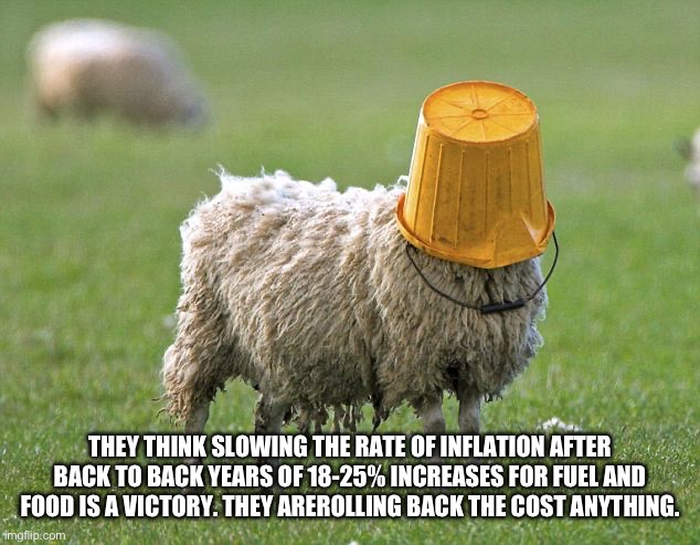 stupid sheep | THEY THINK SLOWING THE RATE OF INFLATION AFTER BACK TO BACK YEARS OF 18-25% INCREASES FOR FUEL AND FOOD IS A VICTORY. THEY AREN’T ROLLING BA | image tagged in stupid sheep | made w/ Imgflip meme maker