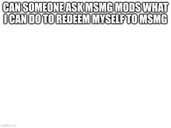 pls? | CAN SOMEONE ASK MSMG MODS WHAT I CAN DO TO REDEEM MYSELF TO MSMG | image tagged in oh wow are you actually reading these tags | made w/ Imgflip meme maker