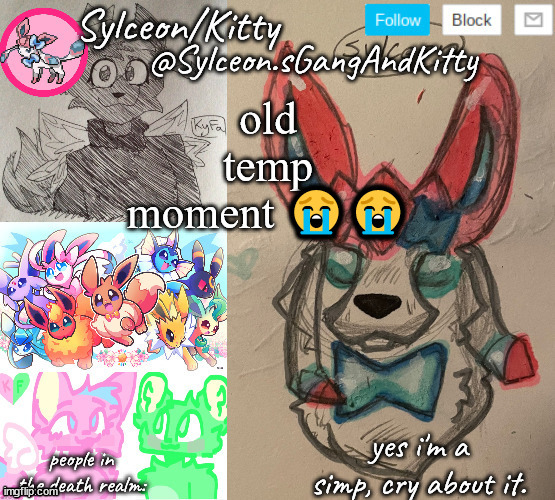Sylceon.sGangAndKitty | old temp moment 😭😭 | image tagged in sylceon sgangandkitty | made w/ Imgflip meme maker
