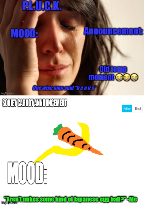 P.L.U.C.K. and soviet-carrot/CommunityModerator12 announcements | Old temp moment ??? | image tagged in p l u c k and soviet-carrot/communitymoderator12 announcements | made w/ Imgflip meme maker