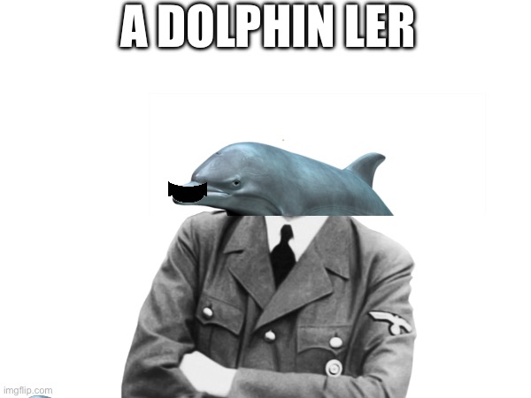 Not offensive at all hehehe | A DOLPHIN LER | image tagged in ww2,hitler,dolphin | made w/ Imgflip meme maker